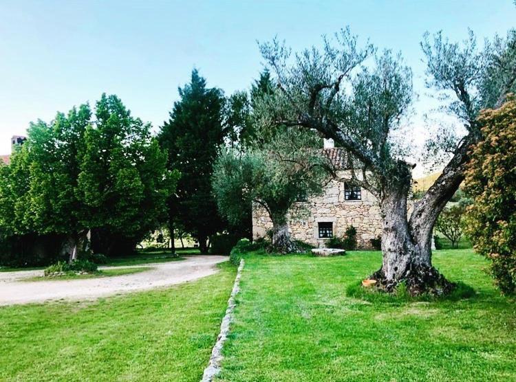 Agro-turismo - Quinta Do Pinheiro *